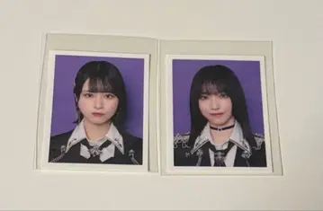 이코럽 ID 사진 저주해 저주해