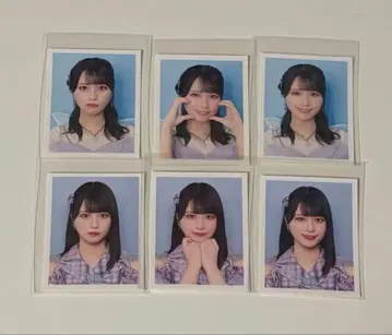 이코라부 사사키 마이카 ID 사진