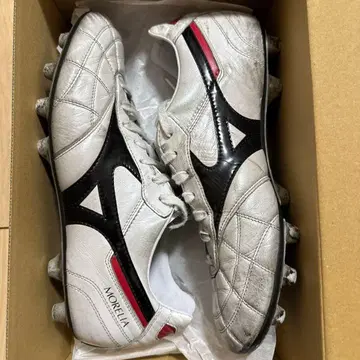 모레리아 2 Japan 크로스 스티치 26cm