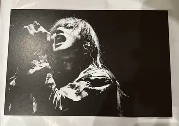 SUPER BEAVER 슈퍼 비버 패널