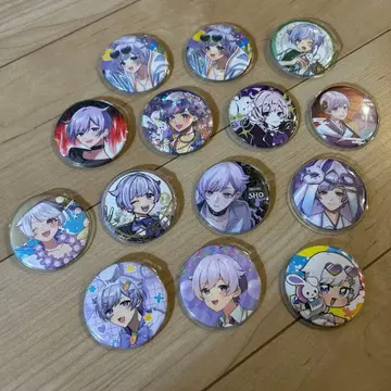 이레이스 쇼토 캔뱃지 14개
