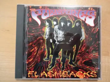 Flashbacks The Fuzztones