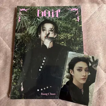 straykids do it 아코디언 방찬 알라딘 미개봉