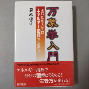 만상학 입문 당신의 인생은 에너지 지수로 결정된다