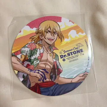 Dr.STONE 나나미 류스이 코스터 등신 애니메이트 카페