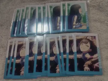 프로세카 에피카 24B 시라이시 안