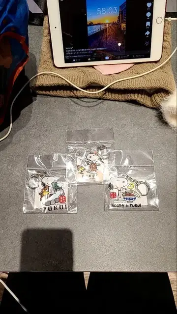 후쿠이 캐릭터 아크릴 키링 3개 세트 스누피 컴플리트
