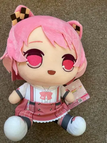 컬러풀피치 노아