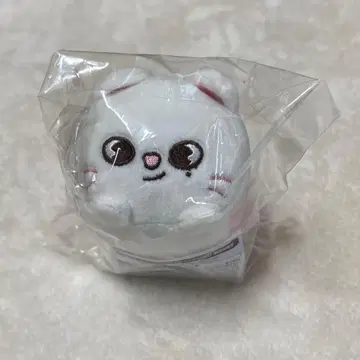 straykids skzoo 지니렛 백참 츠무츠무