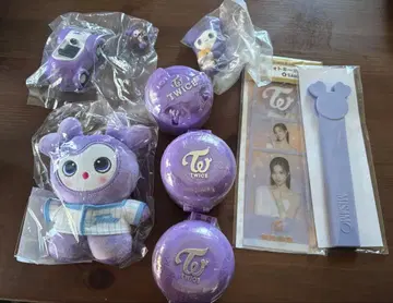 TWICE 사나 서브리 한국