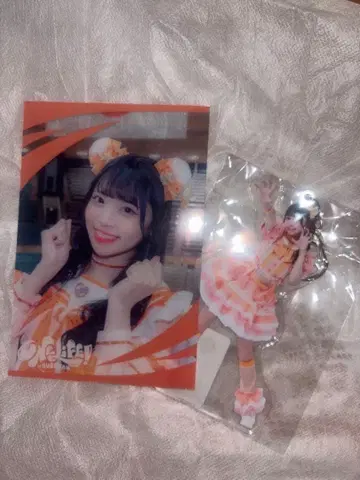 iLiFE! 코구마 마무 아크릴 키링 세트