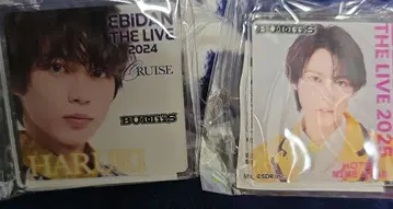 EBIDAN THE LIVE 핀 배지 세트 2024 2025 하루키