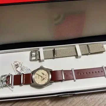 초레어 세이코 포켓몬 이브이 모델 SCXP179 EIEVUI