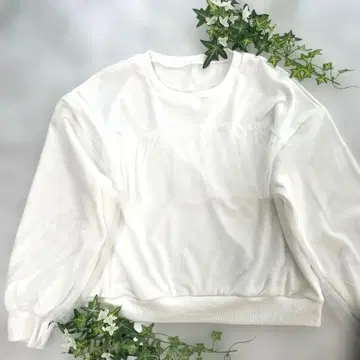 [새상품] 소매 튤 프론트 프릴 맨투맨 트레이닝복 화이트 화이트