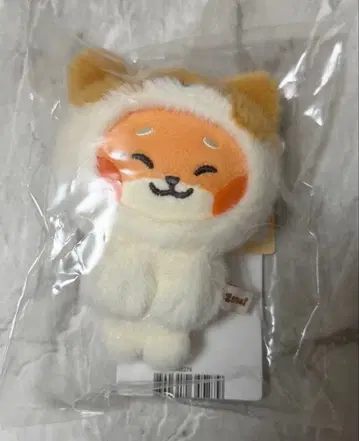 zeroni 니 봉제 인형 마그넷 사진 홀더 튀니니 마슈