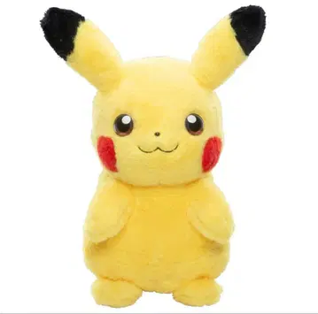 포켓몬스터 오우치니포켓몬 PIKACHU 피카츄