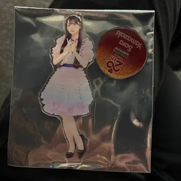 AKB48 야마자키 소라 아크릴 스탠드 무도관