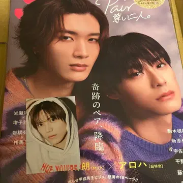 [ 혜택 포함 ] Scawaii! 히데요시 x 후지모토 코다이