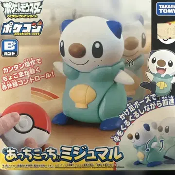 이리저리 미주알