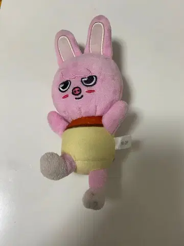 창빈 돼끼 봉제 인형 skzoo 스키즈 straykids