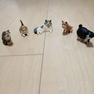 하시모토 미오 고양이 강아지 피규어 5체 세트