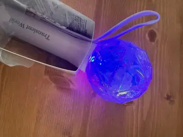 access transient world 응원봉