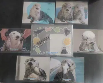 랏코의 메이쨩 캡 복권 브로마이드 사진 프레임 키라