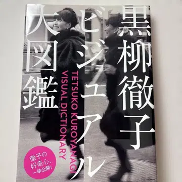 쿠로야나기 테츠코 비주얼 대도감