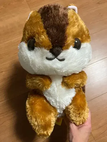 통통한 볼의 초코 다람쥐