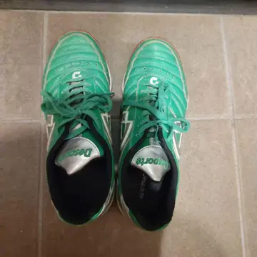 Desportivo 풋살화 그린