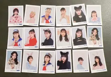 하로프로 미니미니 브로마이드 츠바키 팩토리