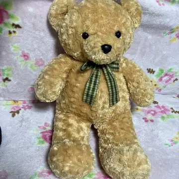 곰 봉제 인형 빅 사이즈