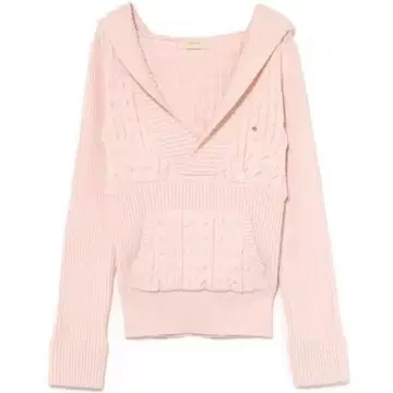 Taylor hoodie knit tops