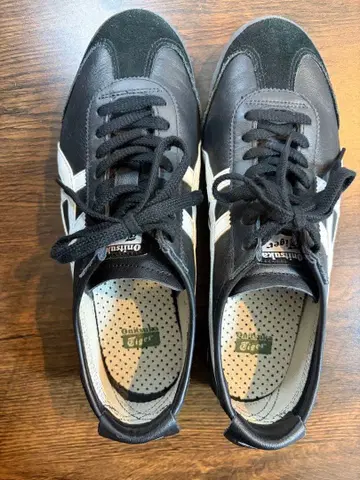 오니츠카타이거