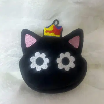 wayv 텐 TEN 솔로 콘서트 카누레 파우치