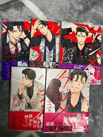 책임을 지게 해드리겠습니다. 전 양아치 변호사 히가시야 사이 1~5권