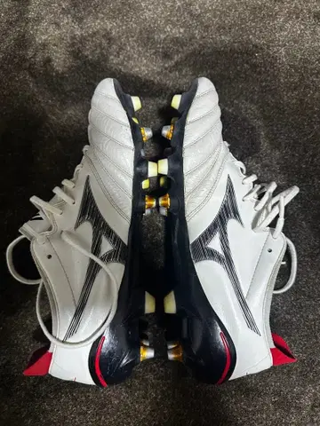 모렐리아 NEO 4 JAPAN MIX