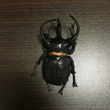 코카서스장수풍뎅이 피규어