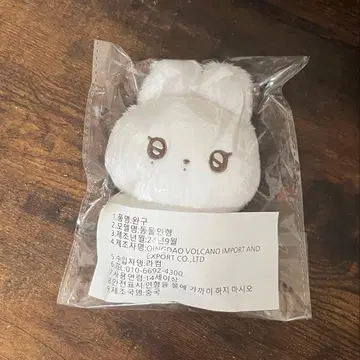 NCT WISH 시온 봉제 인형 마스터 시온