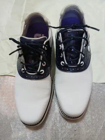 FootJoy 골프화 여성용 화이트/네이비 사이즈 23cm