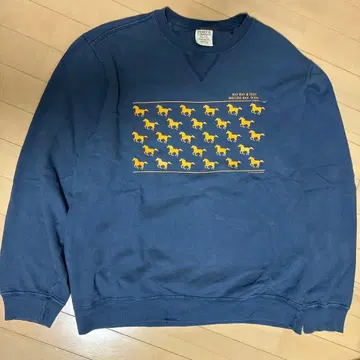 PORT & COMPANY 말 프린트 트레이닝복 L 네이비