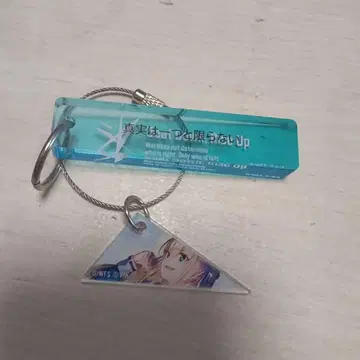 헤븐 번즈 레드 세라핌 코드 아크릴 키링 묶음 판매