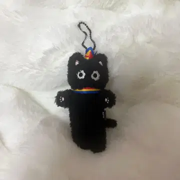 wayV 텐 카눌레 키링