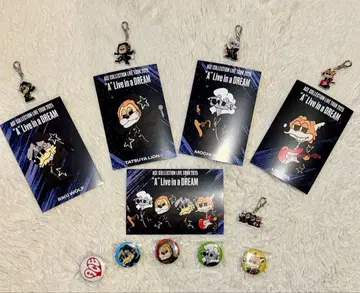 ACE COLLECTION 키링과 배지 세트 2