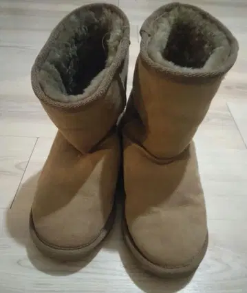 EMU 브라운 어그 부츠