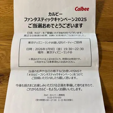 도쿄 디즈니랜드 대관 2인분