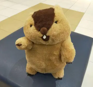 택 포함 새상품 마모트의 모토토토 구이인 JB / 모토토토 레어 희귀