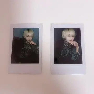 AVAM 길경꽃향 란 폴라로이드