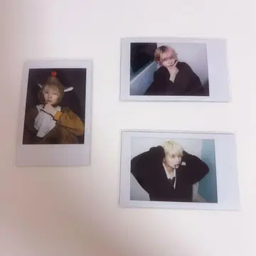 AVAM 길경꽃향 란 폴라로이드