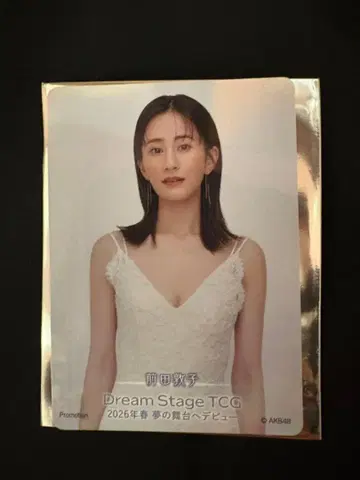 마에다 아츠코 AKB48 무도관 입장 혜택